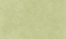 Decorazza STUCCO VENEZIANO / Цвет #SV  10-48